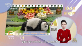 伦理久久精品